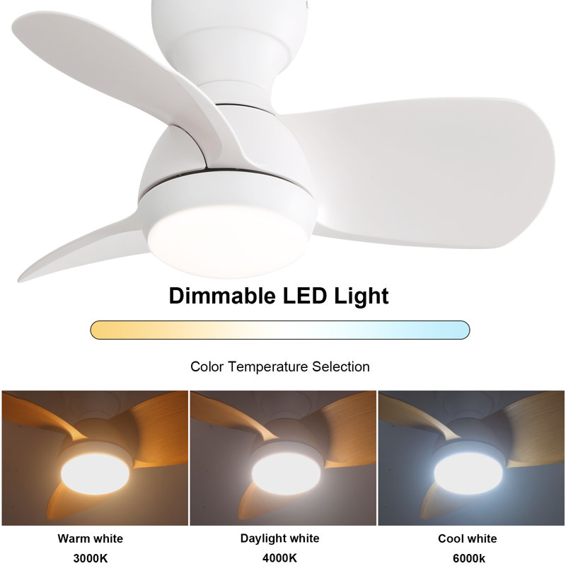 Corabelle 23" 3-Blade Modern Flush Mount Small Ceiling Fan with Remote Control and Light Kit Included, White, White