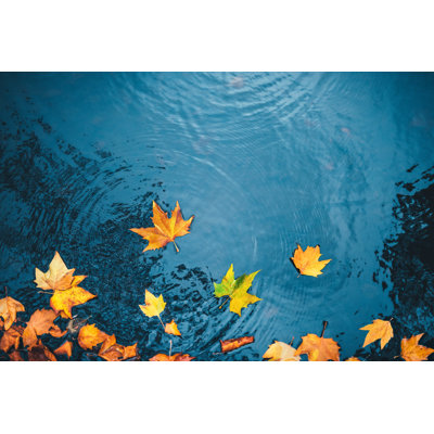 Fond d'automne par Borchee