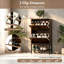 10 Pair Shoe Storage Cabinet