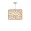 Chesapeake 4 - Light Chandelier