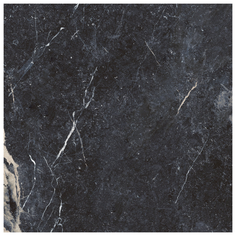 Autograph 48x48 Satin Marble Look Porcelain Tile, Noir Sabbia