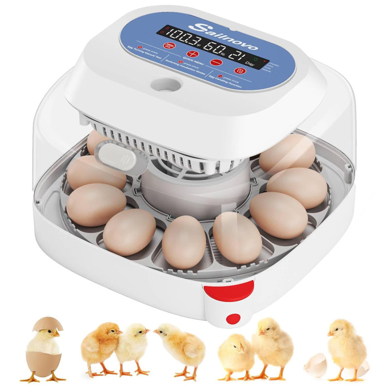 12 Egg Incubator with Automatic Egg Turning and Humidity Display, 4 Modes Incubators for Hatching Eggs with Bulit-in Candler, 360° View Clear Window, for Chicken, White, 11.2x11.2x7.6 inch