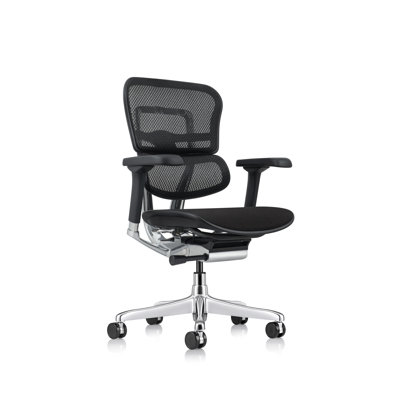 Ergohuman Task Chair