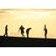 Adhésif décoratif golf silhouettes-1882585089