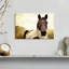 Brampt Horse Pasture-106051796