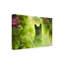«Black Cat» par Ben Heine - reproduction de photo sur toile tendue-1243639375