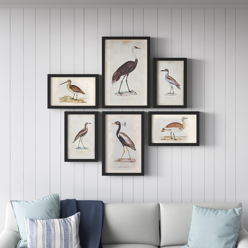 Waterfowl Gallery 6-Piece Aquatic Bird Art Print Set