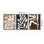 Retro Matisse Inspired Abstract Botanical - 3 Pieces by Erminia-72745649-72745650