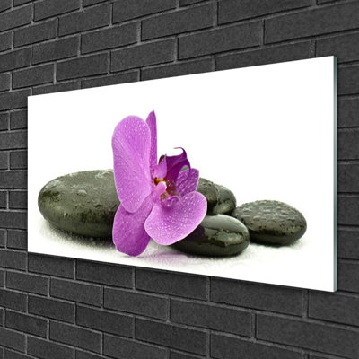 Art Flower Stones 1 Piece Wall Art on Glass