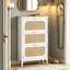 21 Pair Flip Down Shoe Storage