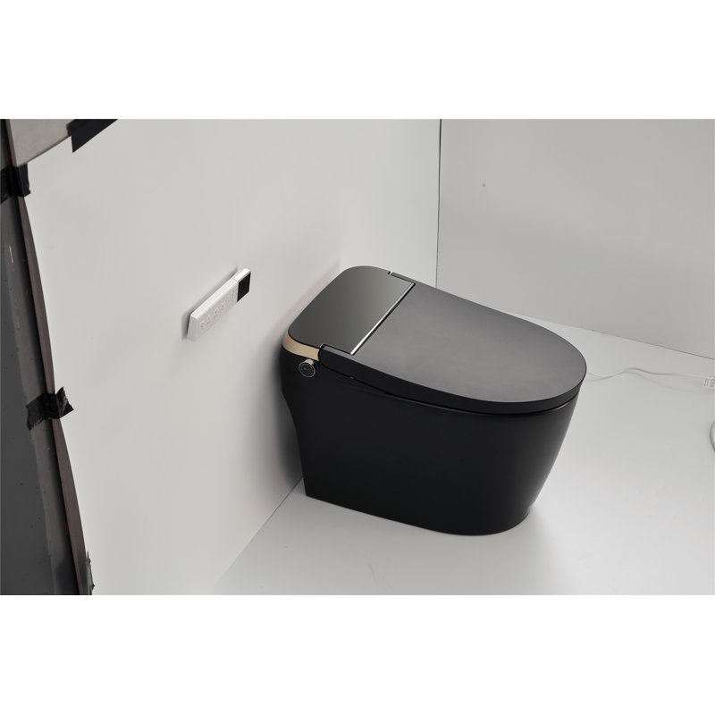 Creationstry GPF Elongated Bidet Toilet (Seat Included), Black