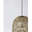 Griffin 1 - Light Black Crystal Pendant