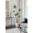 Dracaena Drop-in Plant