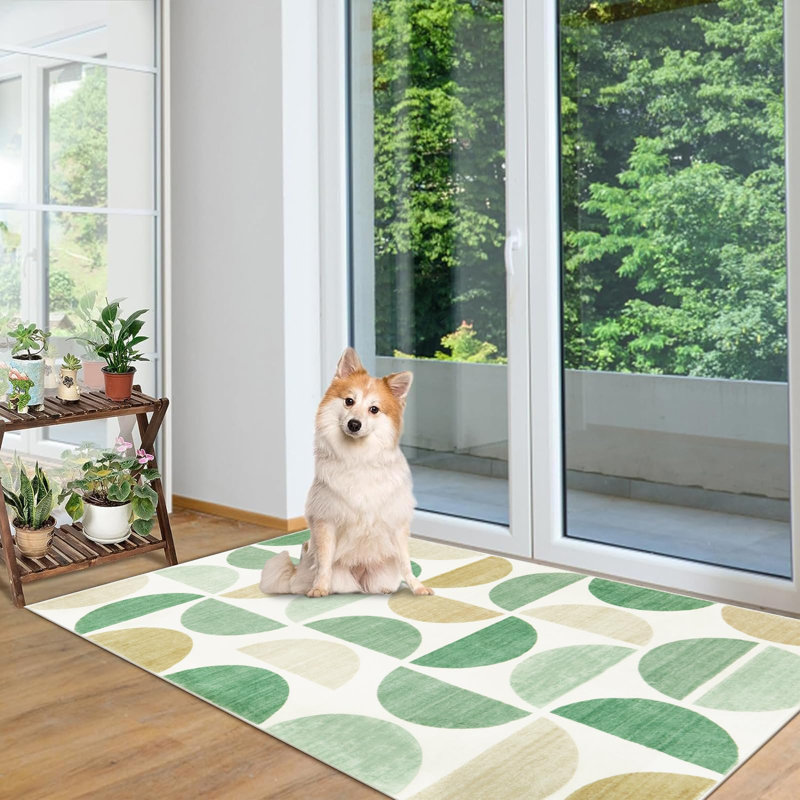  Tapis pelucheux Pebble Cove - Accent texturé organique avec base antidérapante, Rectangle 4pi x 6 pi