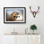 Hawk - Picture Frame Painting Print-56712035-56712036