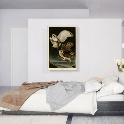 «Barn Owl» par James Audubon - impression sur toile tendue
