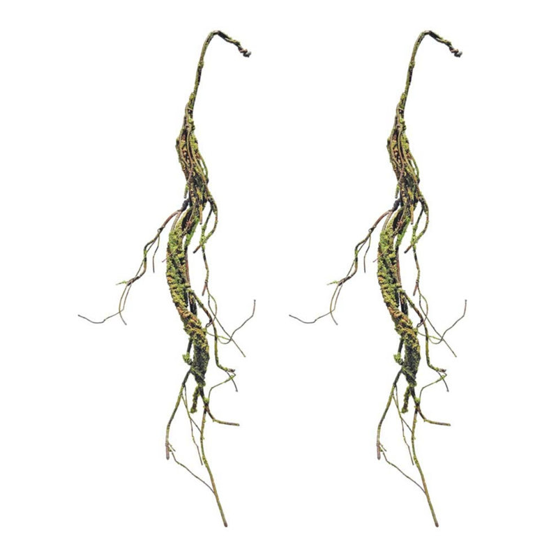 Guirlande Mossy Twig (ensemble de 2)