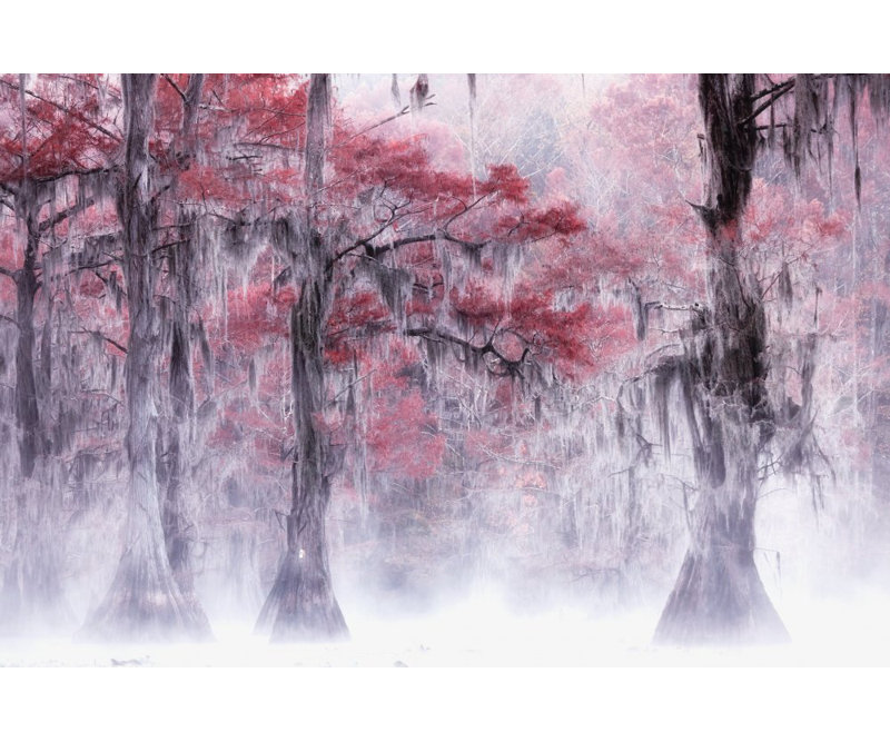 Wrapped Canvas Print, 50.8cm H x 76.2cm W