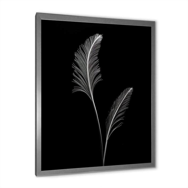 " Minimalism Black And White Fern ", Silver Single Picture Framed, 44" H x 34" W x 1.5" D