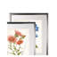«Botanical I», ensemble de 2 reproductions d'impressions encadrées-28785920