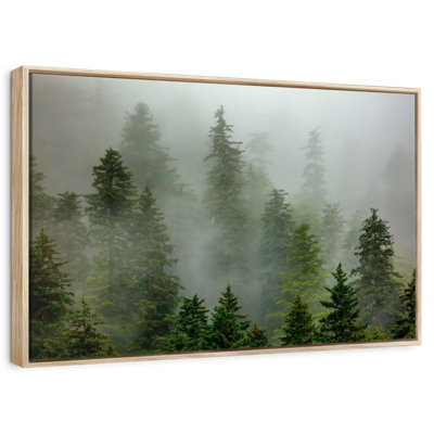 Foggy Alaska