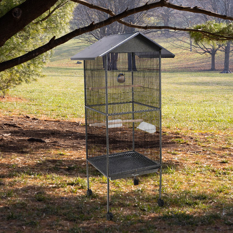 Mouse Cage