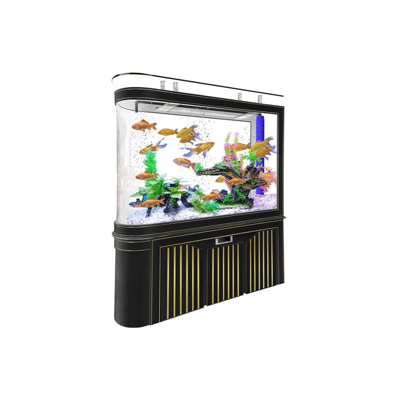 Aquarium simple et moderne simple