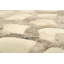 Tapis ivoire à imprimé animal-22280820