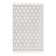 Groton Indoor Rug
