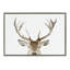 «Stag Peekaboo» par Amy Peterson, reproduction d'art sur toile encadrée-477942271