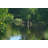 Mangrove Trees by Boogich - Wrapped Canvas Print-354053690