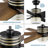 Carrollwood 56'' Ceiling Fan with LED Lights-102873427
