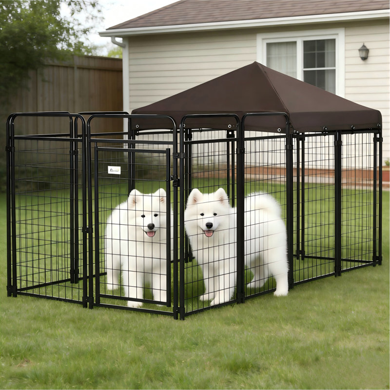 Chenil d'extérieur Canine Courtyard Deluxe