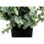 Faux Plant