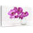 Orchids In A Vase-2020974768