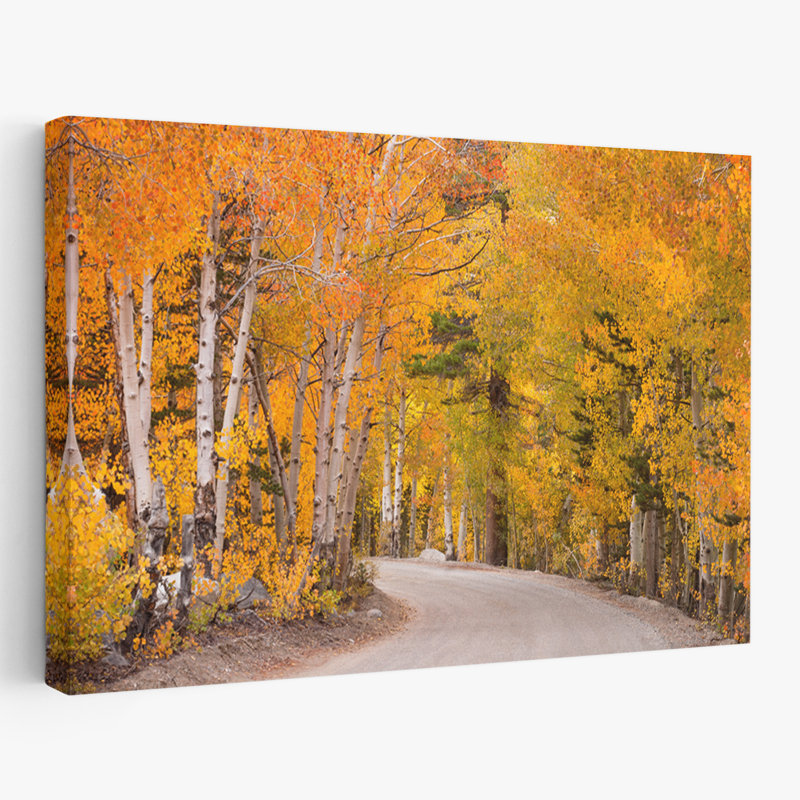 The Golden Road - Paysages, photographie, arbres d'automne, art, H 24 po x l 16 po