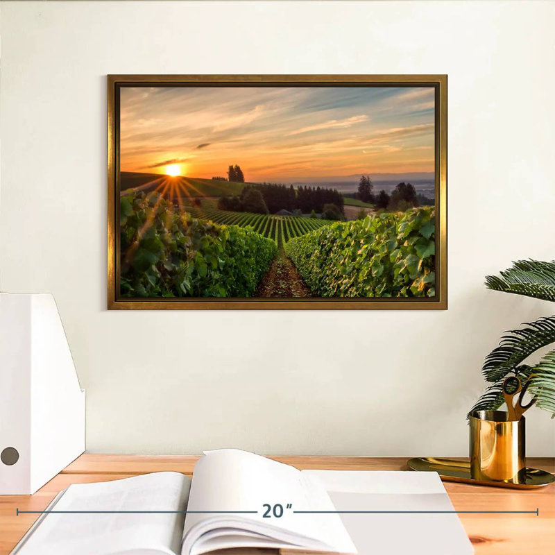 Willamette Vineyard, Cadre flottant doré, 13 po x 9 po