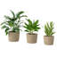 Pot Planter