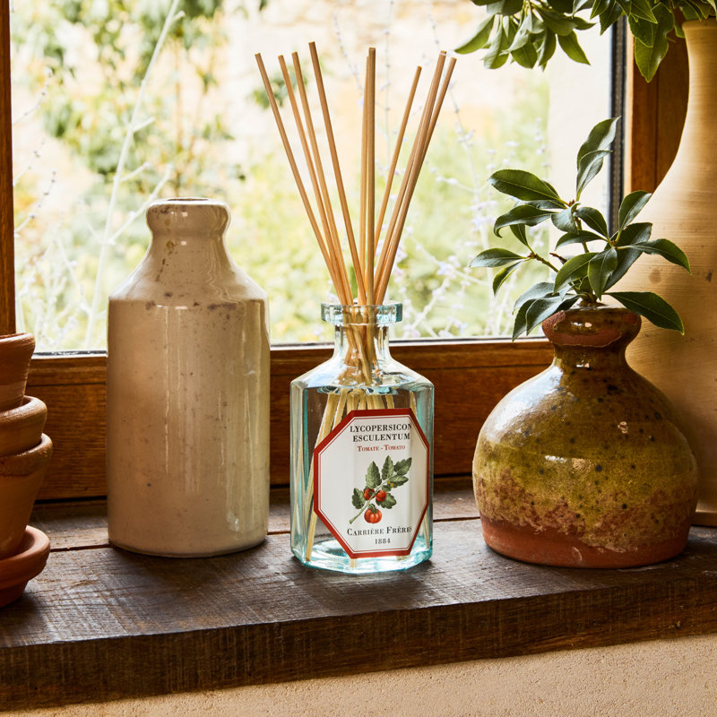 Fruits Diffuser, Tomato