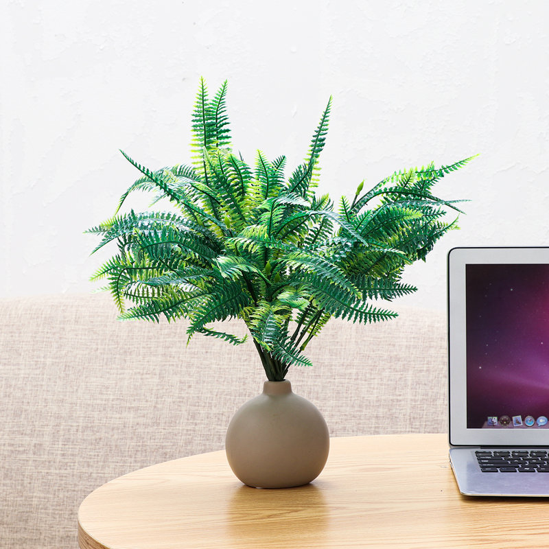 Boston Fern Leaf Arrangement