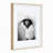 Develin Matte Picture Frame with Mat-668922073-668922075