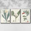 Ensemble de 3 pièces encadrées sur toile Soft Tropical IV-97706658-97706659
