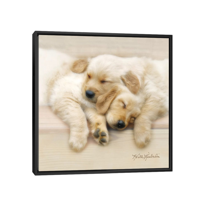 Nap Friends 1 Piece Wall Art on Canvas, 45.72 cm H x 45.72 cm W, Black Framed