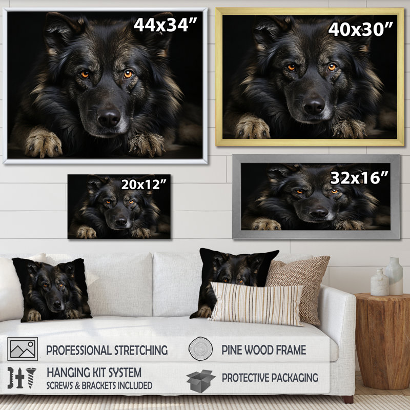 Portrait de chien I - reproduction sur toile, Cadre flottant noir, H 34 po x l 44 po x P 1,5 po
