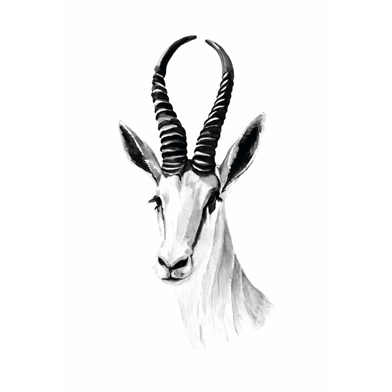 Gazelle Sketch I by Annie Warren - Wrapped Canvas Print, 91cm H x 61cm W x 3.8cm D