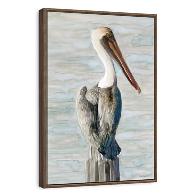 Classic Brown Pelican
