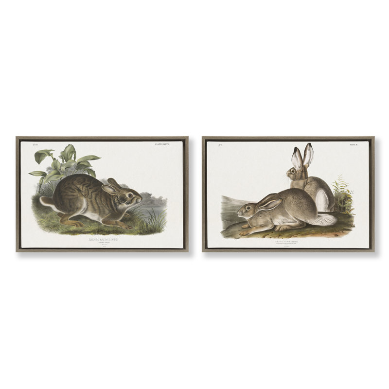 «Gentle Resting Cottage Rabbit», ensemble de 2 toiles flottantes encadrées par Wild Apple Portfolio, H 17 po x l 25 po