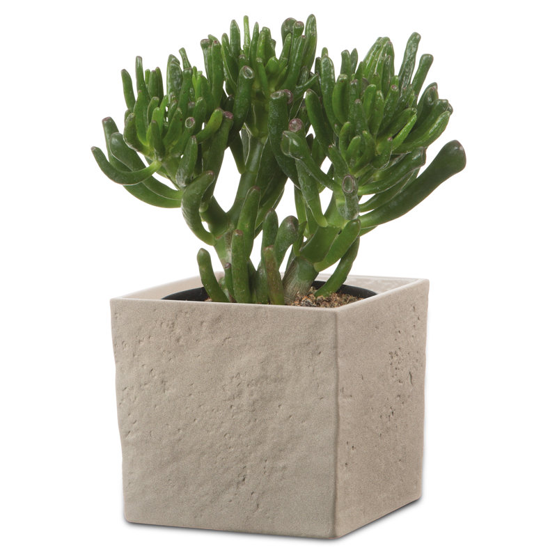Übertopf Stone aus Keramik, 12.7cm H x 14cm W x 14cm D, Taupe