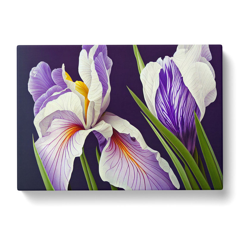 Stunning Iris Flowers - Wrapped Canvas