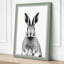 Hare Observational Study Botanical - Wrapped Canvas-688134689-688134699